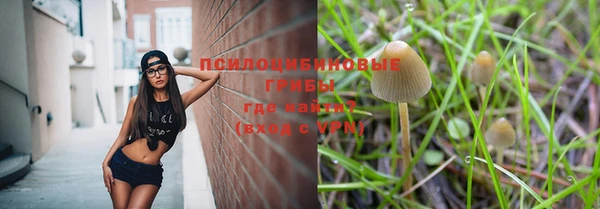 гашиш Богородицк