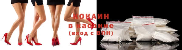 индика Белокуриха