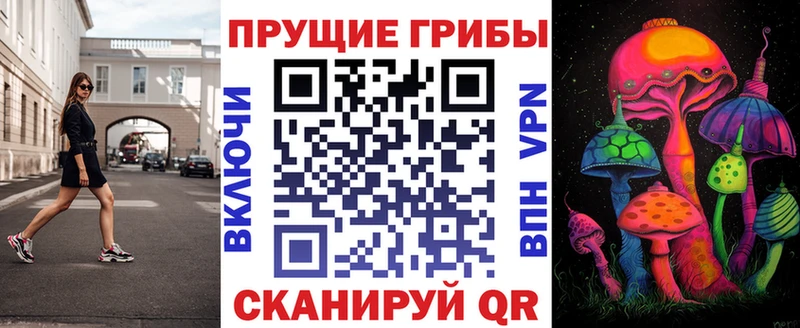 где купить   Вилючинск  Галлюциногенные грибы GOLDEN TEACHER 